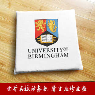 定制学生座椅垫子 英国伯明翰大学周边纪念品坐垫沙发垫飘窗垫