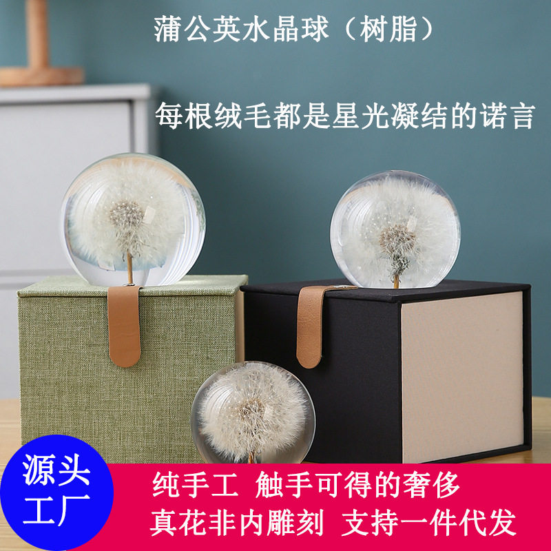 盆景水晶球蒲公英摆件树脂真花标本6-9厘米情人节创意