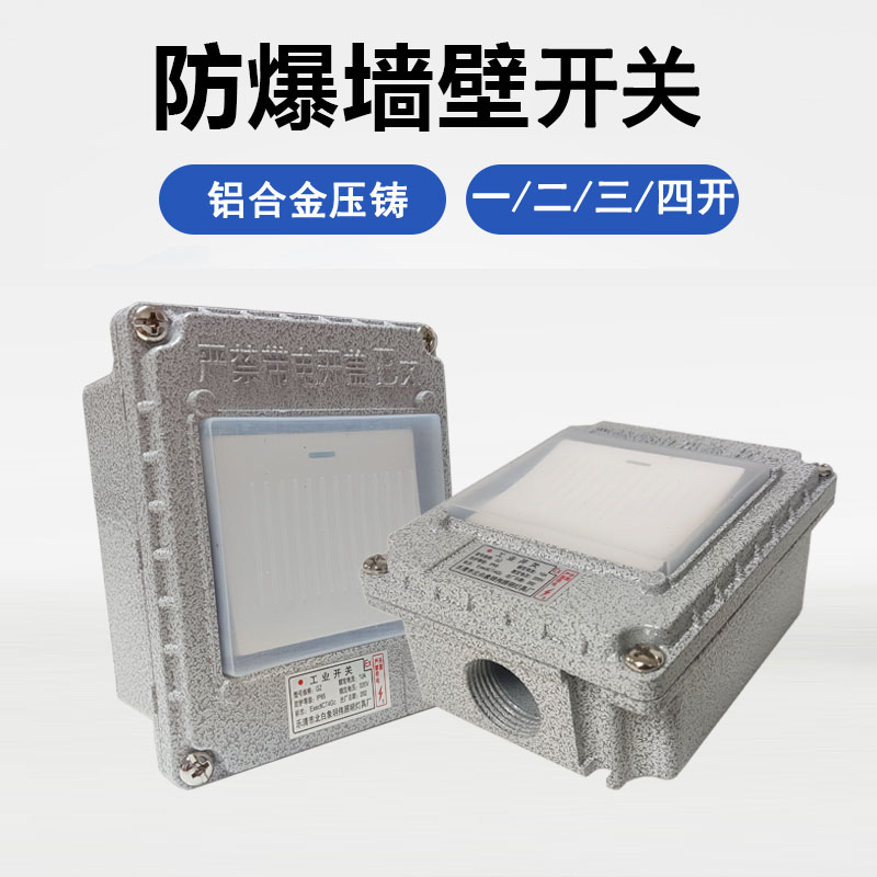 防爆墙壁开关220V10A明装暗装