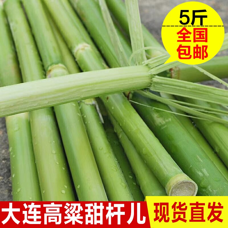 东北大连农家种植高粱甜杆 小甘蔗小甜高粱 现砍现发甜芦粟 5斤在类目 水产肉类/新鲜蔬果/熟食, 新鲜水果, 其它中 - 来自Buy2taobao.com提供专业的淘宝代购服务