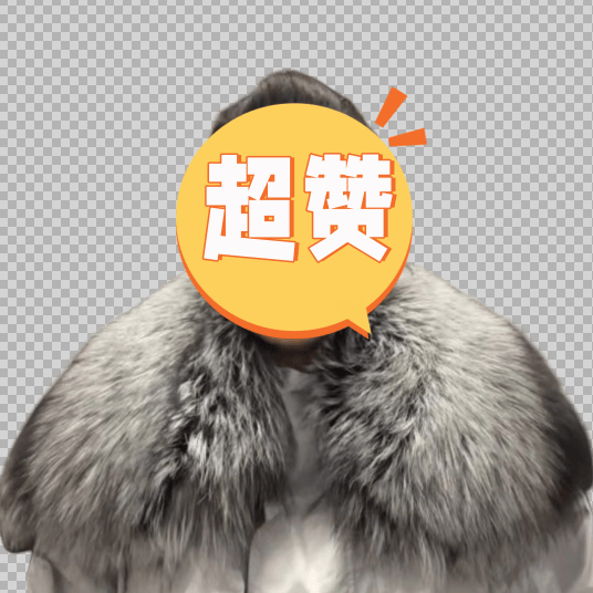 男女通用百搭原毛圆领围脖银狐