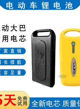 骑得乐24V36V10Ah锂电池喜德盛风度漫步者替换装电动自行车电瓶