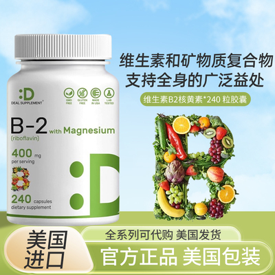 现货DEALSUPPLEMENT核黄素B2