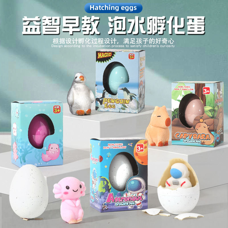 新款泡水孵化膨胀玩具创意礼物