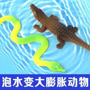 超大号鳄鱼巨无霸泡水膨胀海洋动物巨型蛇吸水变大创意整蛊玩具