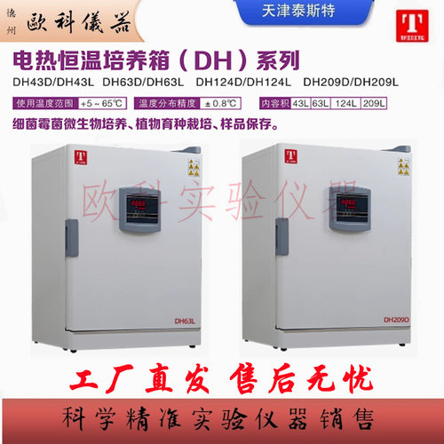 泰斯特精密电热恒温培养箱DH63DL