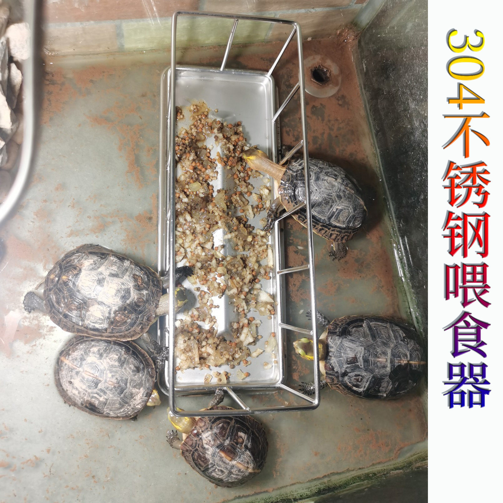 304不锈钢陆龟喂食台半水龟喂食盆喂食器迷你版乌龟喂食器喂水盆
