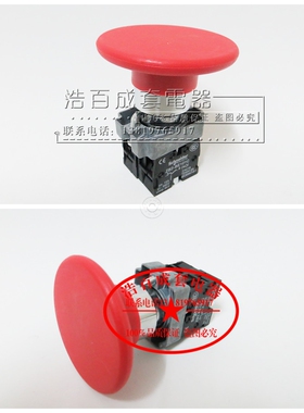 Φ60MM蘑菇头按钮ZB2-BR25C BR45C  高品质