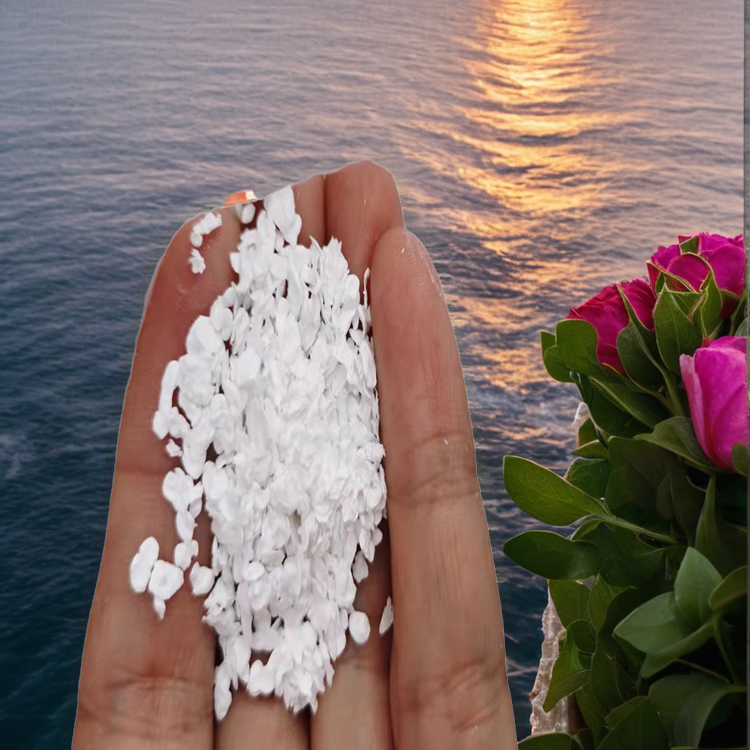 聚醚砜PES粉末德国巴斯夫原料颗粒E6020P E2010P E3010纯树脂