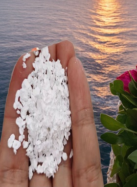 聚醚砜PES粉末德国巴斯夫原料颗粒E6020P E2010P E3010纯树脂