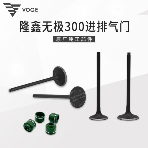 无极300原装进气门排气门套件