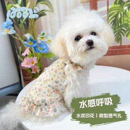 约克夏比熊夏季薄款衣服小型犬狗背心狗狗漂亮裙子宠物衣服牵引绳