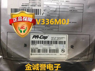 6.3V33UF国光电容PA-CAP