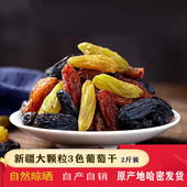 2025新疆特产三色大颗粒混合葡萄提子干无核自然风干香妃王黑加仑