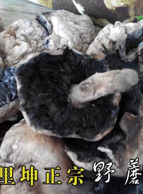 新疆巴里坤天山野生蘑菇带礼盒