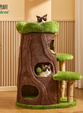 喵想树丛林猫爬架实木小户型不占地家用猫窝猫树一体猫架玩具