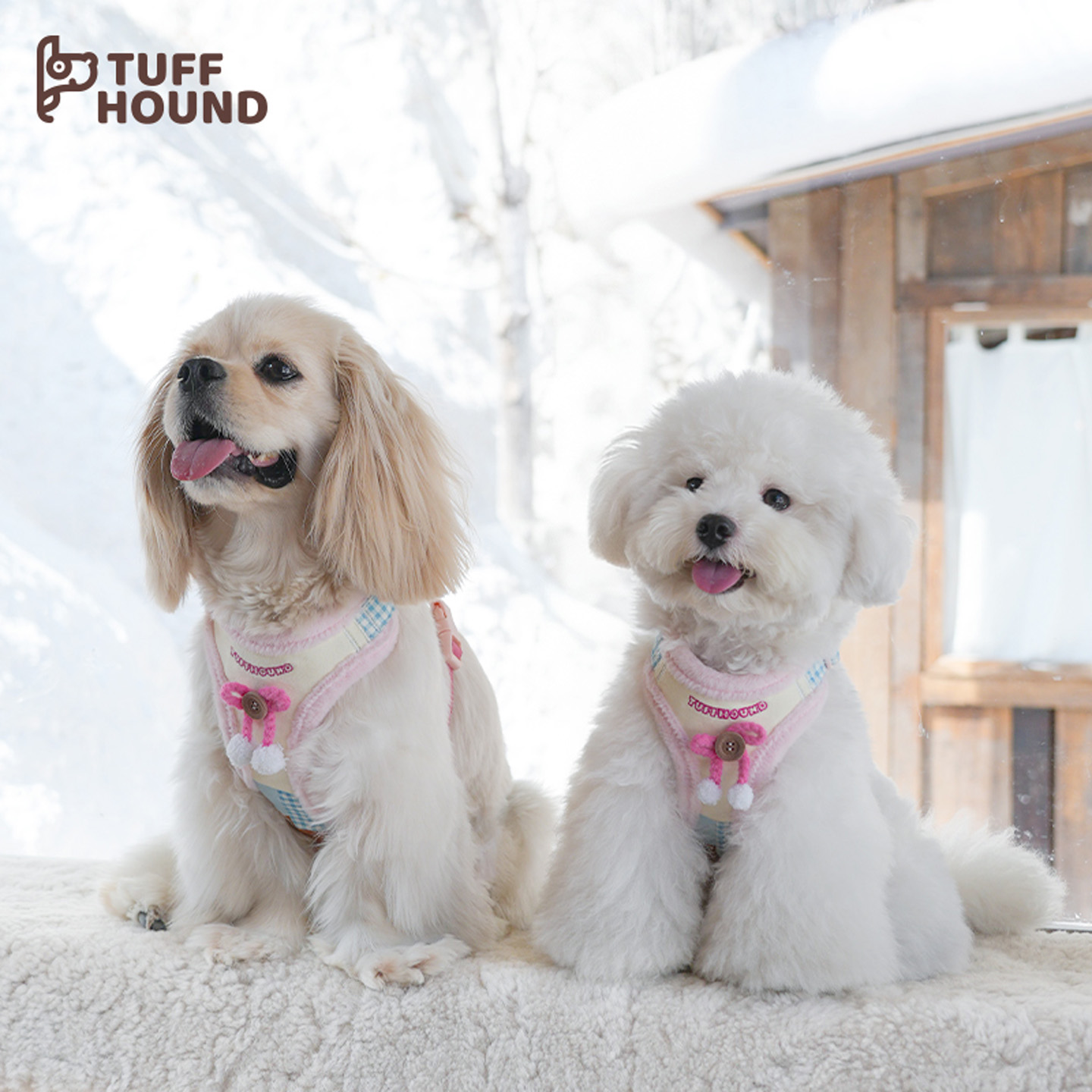 它愿冬季狗狗猫咪胸背带牵引绳