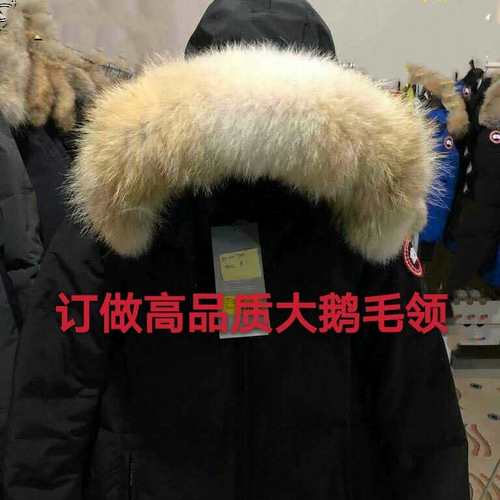 定做大鹅羽绒服郊狼毛领单卖卿卿