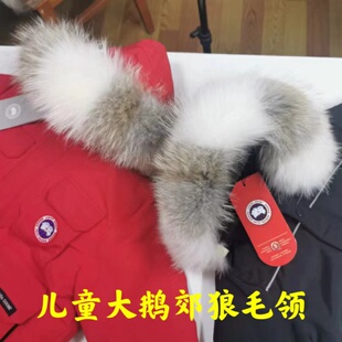 儿童大鹅毛领定制郊狼毛领单卖加拿大西部清灰郊狼毛领定做