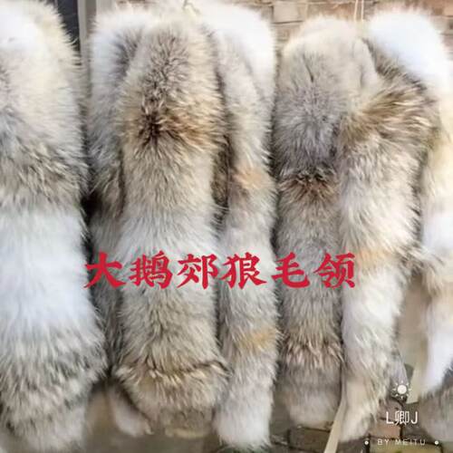 大鹅郊狼毛领批发订制
