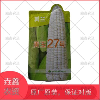 美玉27号白甜糯玉米种子 晚熟加甜糯白糯玉米原厂原装200克