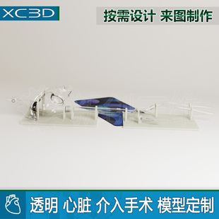 心脏肺动脉模型下肢静脉血管模型透明可拆卸血栓抽吸导管器械介入