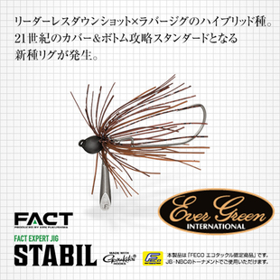 EG 日本Evergreen福岛健FACT路亚饵JIG带铅硅胶裙摆3.5g5g stabil
