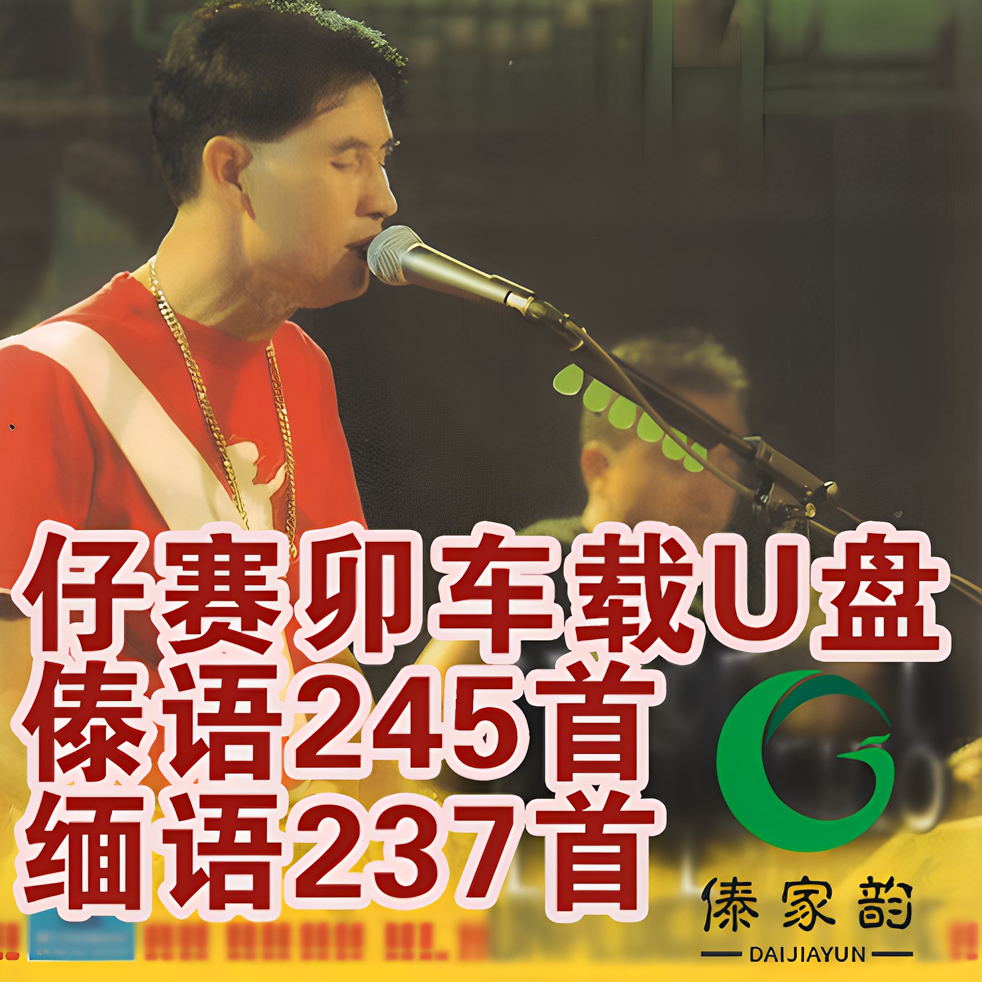 仔赛卯傣歌车载U盘音乐优盘