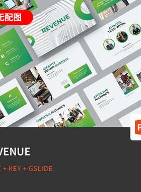 【PPT-299】REVENUE欧美绿色环保科技公司团队技术项目PPT模板