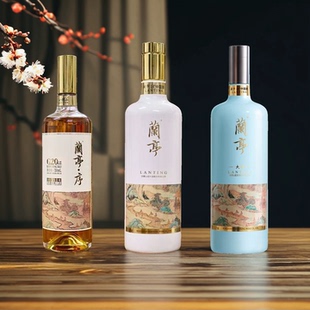 会稽山兰亭国潮大师G20干性绍兴黄酒花雕酒20-30年高档端黄酒礼盒