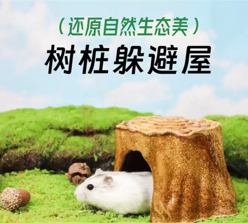 Teewy萃微益仓鼠树桩躲避屋啃咬磨牙金丝熊兔子小宠避险造景用品