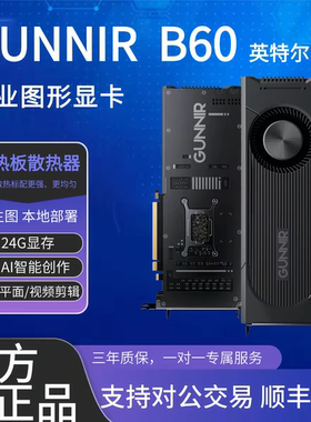 蓝戟 Intel Arc Pro B60 TF 24G B65 TF 32G专业显卡 AI智能生图