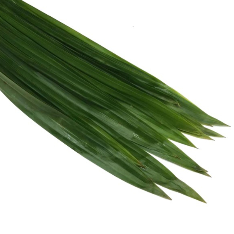 新鲜斑斓叶香兰叶蛋糕千层糕