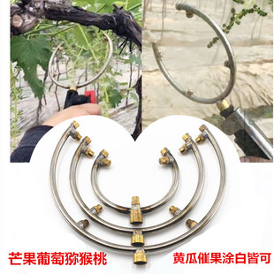 半圆涂杆喷头C型喷头涂白喷头调节4头催果葡萄西瓜黄瓜神器果树
