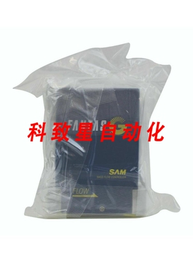 工业配件FANTAS SAM 流量控制器CH2F2 50 SCCM 2480G1