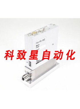 工业配件AERA FM-PB862C数字质量流量计 250SLM AR