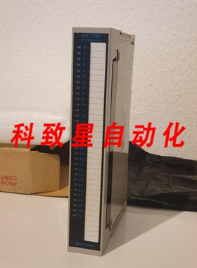 工业配件XHS24BH PLC BNIB