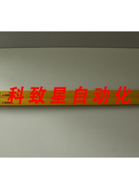 工业配件C 4000 BASIC C40E-1001AH030/C40S-1001-AA030光栅