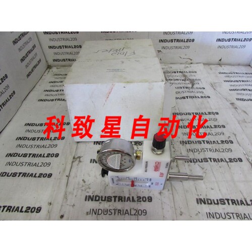 工业配件ESKO流量计 ESF-82-PSE