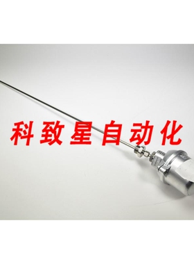 工业配件1001194热电偶带温度变送器2XNICR-NI/KL L760MM