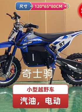 成人儿童迷你小型越野摩托小高赛48V350W电动车锂电池亲子休闲车