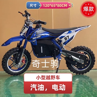 奇士驹两轮电动车大小通用小巧