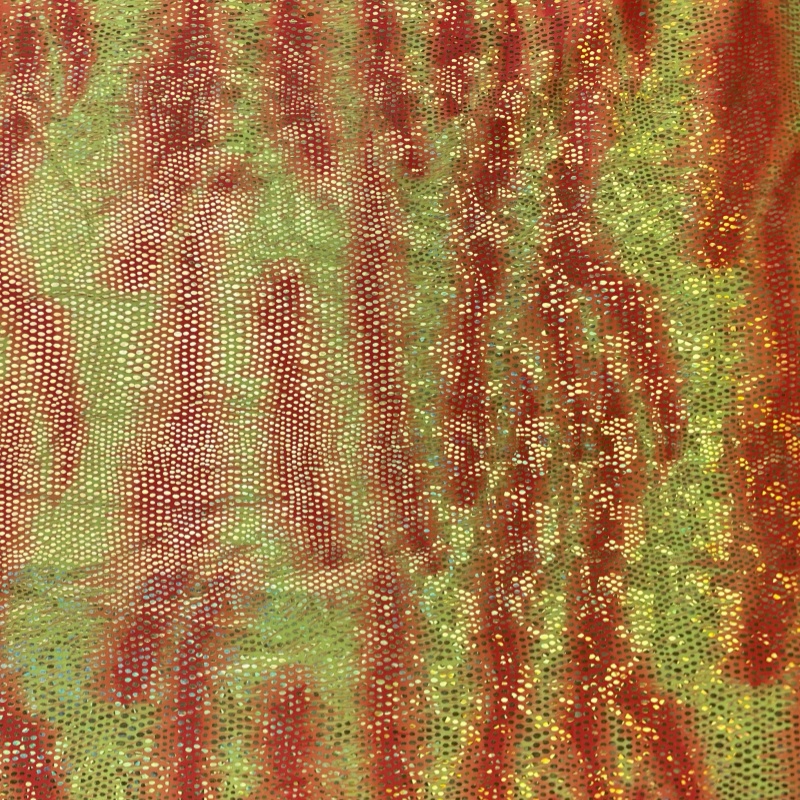 莱卡面料数码印花烫金弹力布料