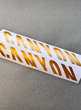 适用于CANYON AEROAD碳纤维公路车下管标改色梅花防水贴纸