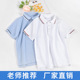领男童白色t恤薄款 特价 Polo衬衫 短袖 校服上衣中大童班服 儿童夏季