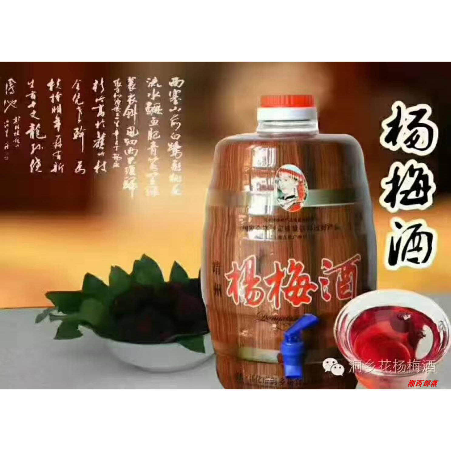 20斤12度 湖南靖州杨梅果酒 原汁杨梅红酒包邮自酿甜梅子酒