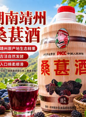 湖南靖州杨梅果酒8度6斤农家传统酿造养生梅子酒桑葚酒