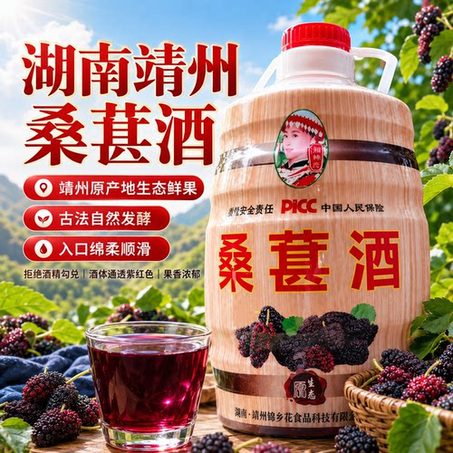 湖南靖州杨梅果酒8度6斤农家传统酿造养生梅子酒桑葚酒 - 封面