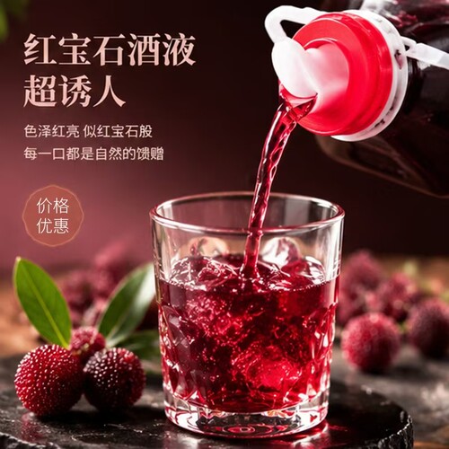 靖州洞乡花杨梅果酒女生微醺米酒