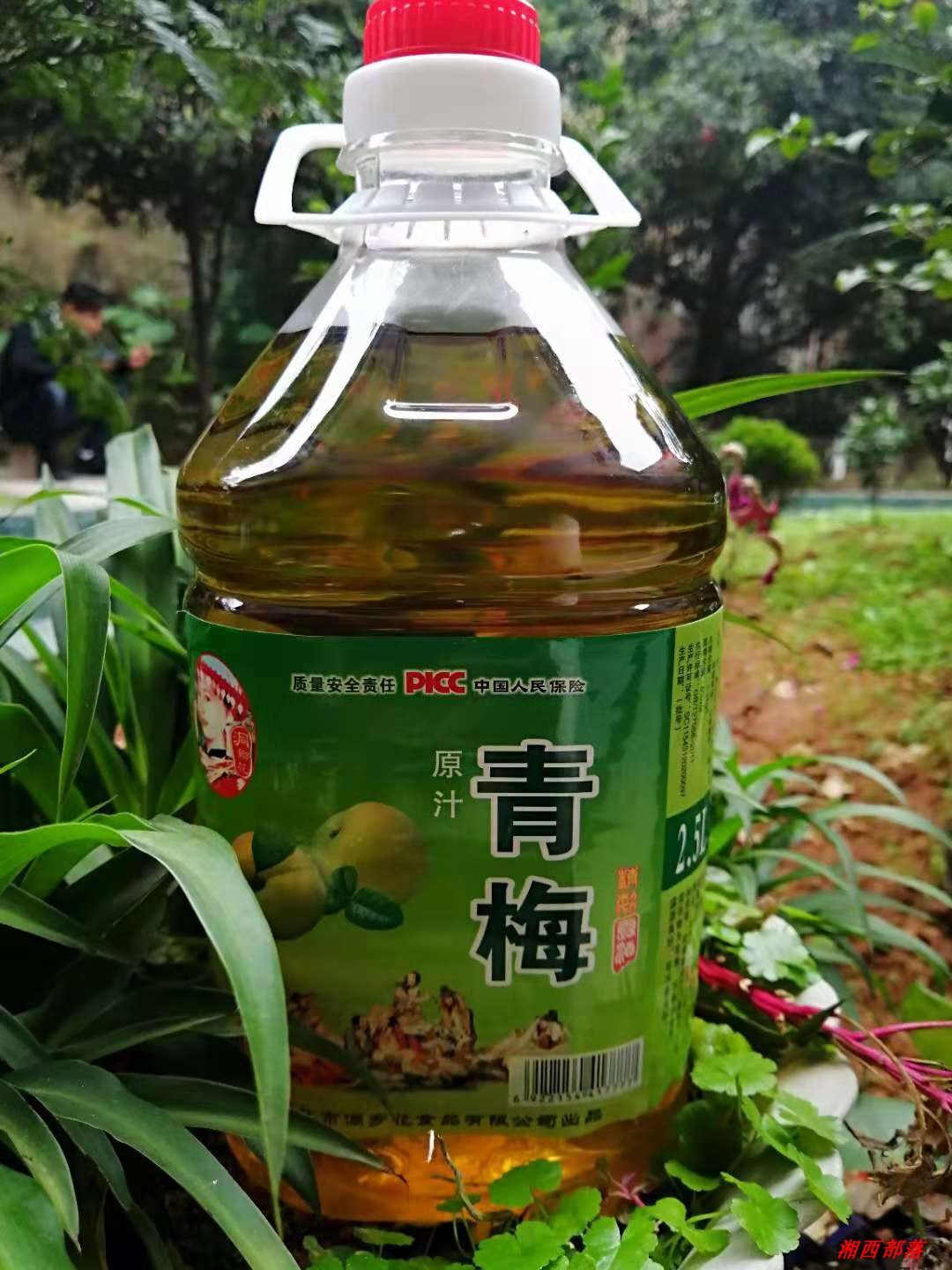 湖南靖州杨梅果酒自酿原汁青梅酒女士甜酒8度5斤买三送一
